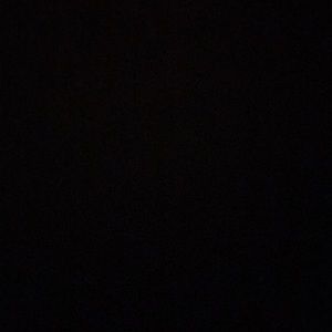 Meet your Posher, Ella